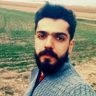 ? نانو مهرگان ?