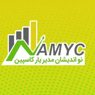 شرکت حسابداری نامیک| namyc