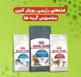 پت شاپ حقیقی