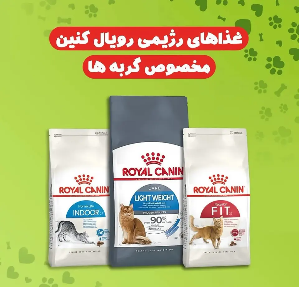 پت شاپ حقیقی