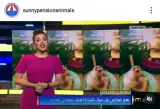پانسیون خانگی سانی