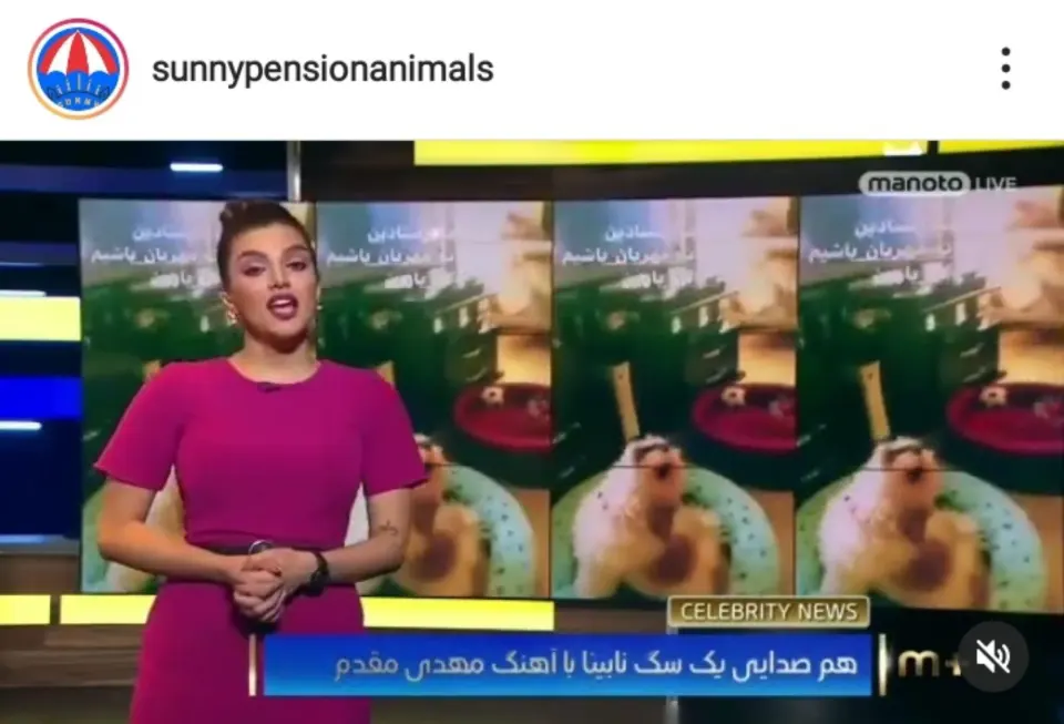 پانسیون خانگی سانی