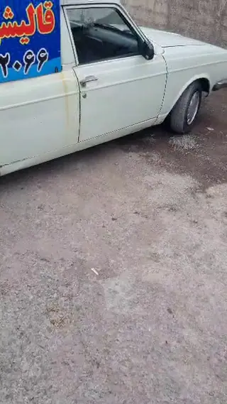 قالیشویی نارون