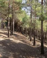 پارک جنگلی چیتگر تهران