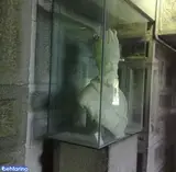 باغ موزه نادری