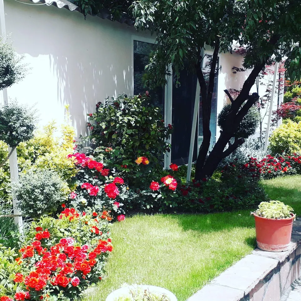 طراحی گل و گیاه • آبیاری قطره ای و آبنما