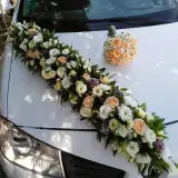 گل پامپاس
