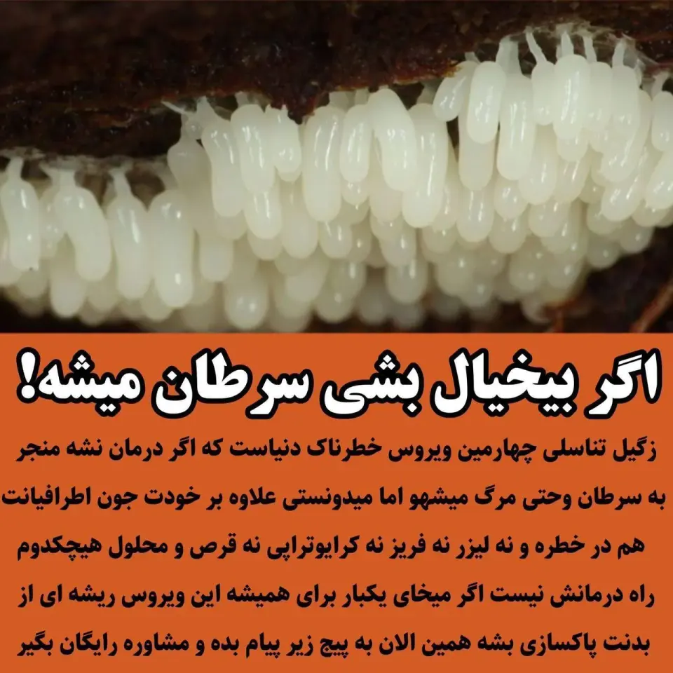متخصص زگیل تناسلی فضل الهی