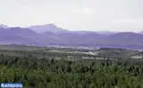 پارک جنگلی قوچک