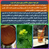 طب سنتی فیروزجایی