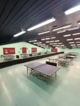 باشگاه پینگ