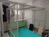 گفتاردرمانی و کاردرمانی ژینو کلینیک