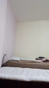 هتل آویژه