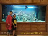 آکوالند ((سازنده تراریوم،آکواریوم ،دیوار سبز، گل و گیاه خاص))