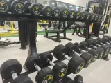 باشگاه بدنسازی اوتانا