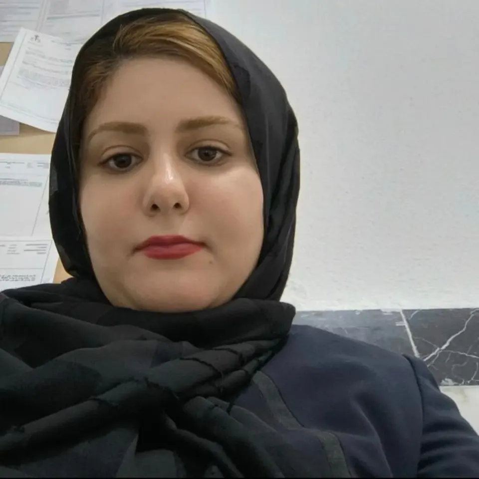 دفتر وکالت مینا پاشنا وکیل پایه یک