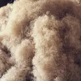پوشال هفت ستاره