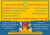 پیش دبستانی ودبستان دخترانه منجی