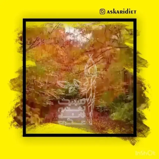 managed-by-sync_ad_images:imp-c0c01e0b2dd61e45f50a
