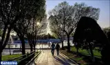 پارک المهدی (بوستان المهدی)