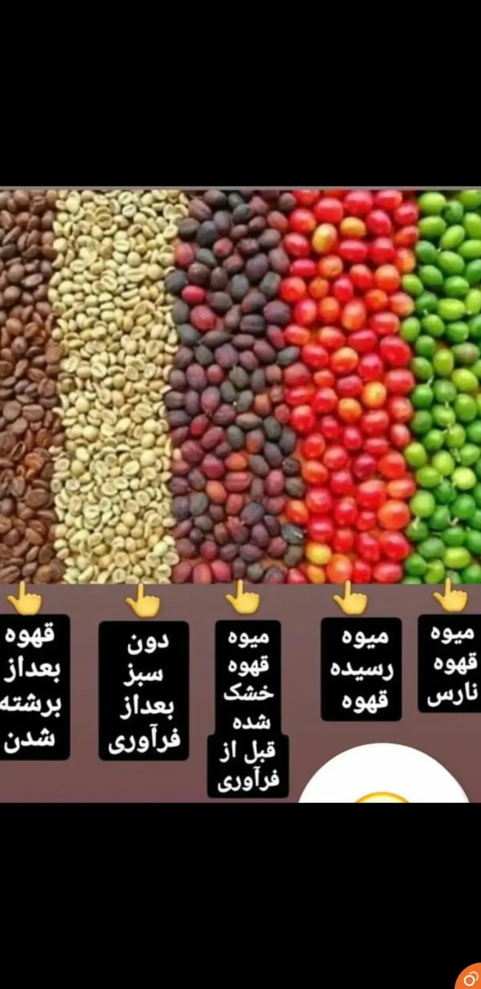 کافه هانی