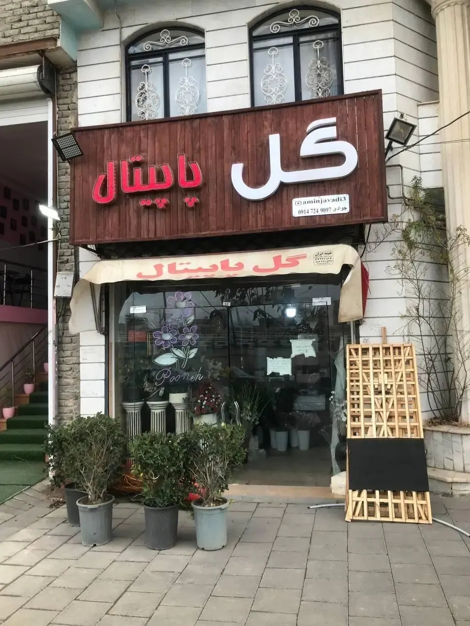 گل پاپیتال