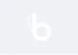 تن پوش خودرو