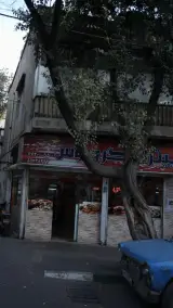 پیتزا ونوس