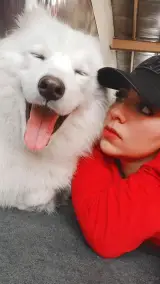 آموزش و تربیت سگ