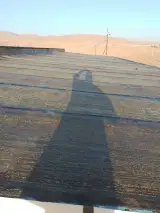 نعیم حسینی