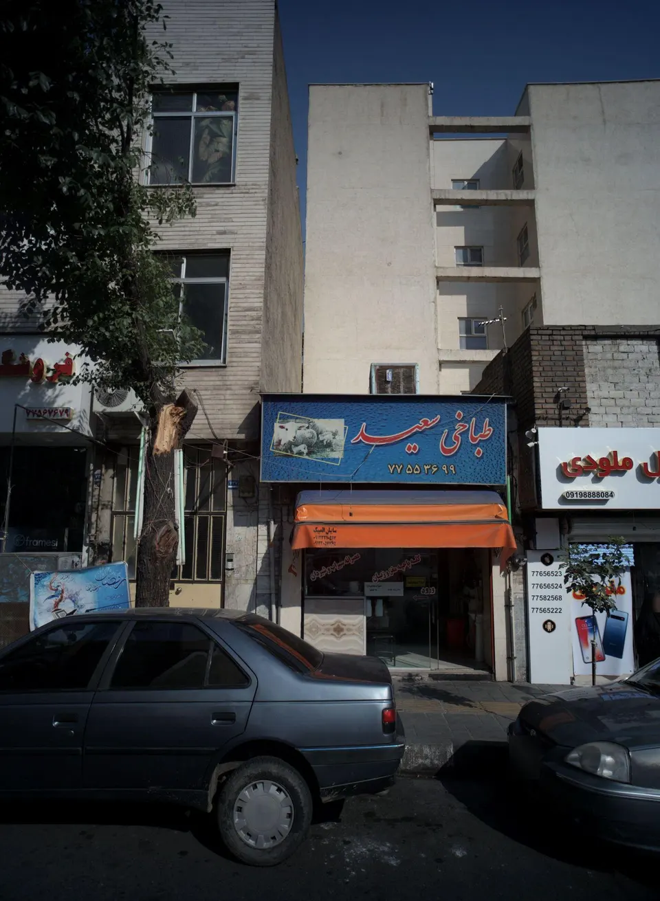 طباخی سعید