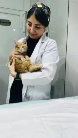 کلینیک دامپزشکی و پت شاپ کارما
