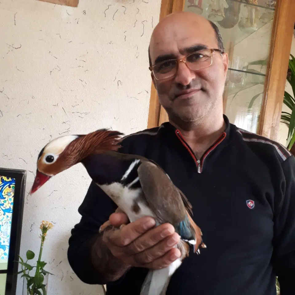 فروش پرندگان زینتی(ناصری)