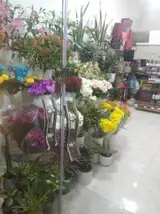 گلسرای تشریفات