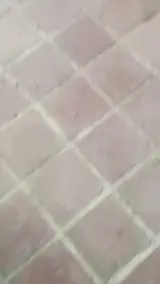 رستوران باریشا