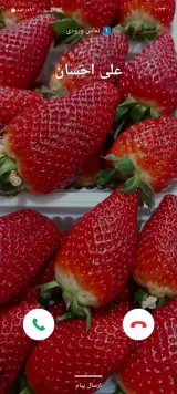 میوه فروشی المهدی