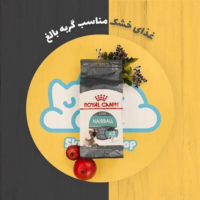پت شاپ اسکای پت