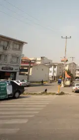 شیرینی همیشه بهار