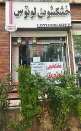 خشکشویی لوتوس