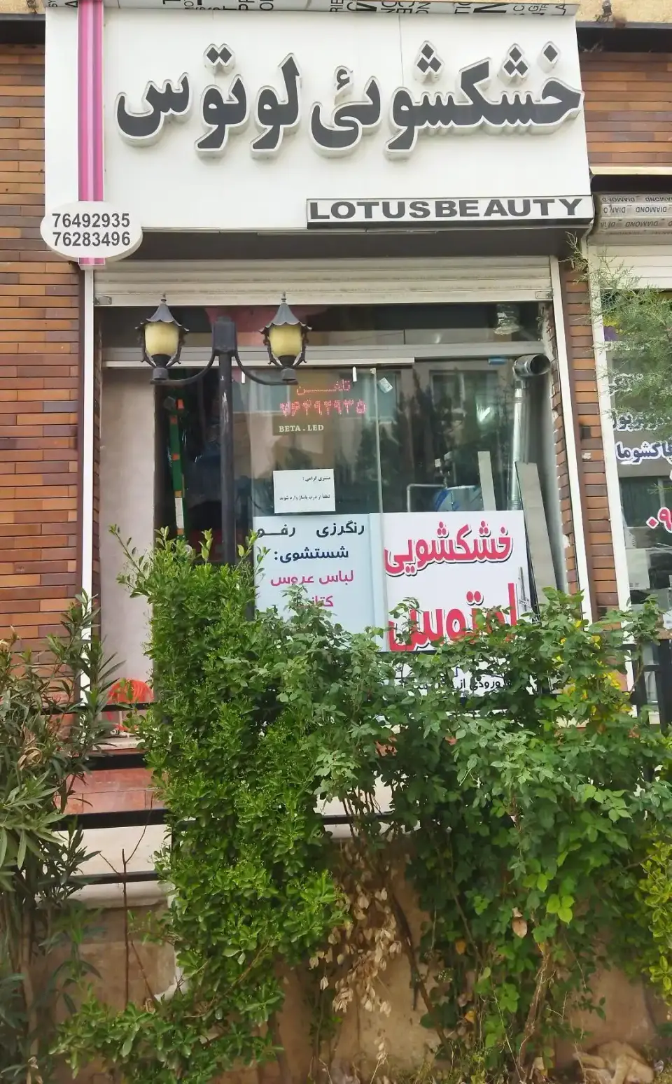خشکشویی لوتوس
