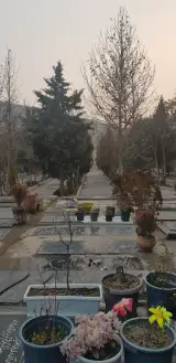 بهشت رضوان