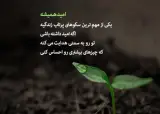 روانشناس @.dr.s.narges.daryabari