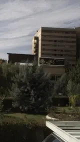 رستوران ارکیده (شعبه مجتمع گلها)
