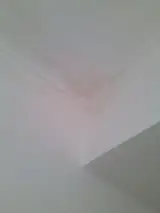 گچکاری وسفید کاری مهدی امانی