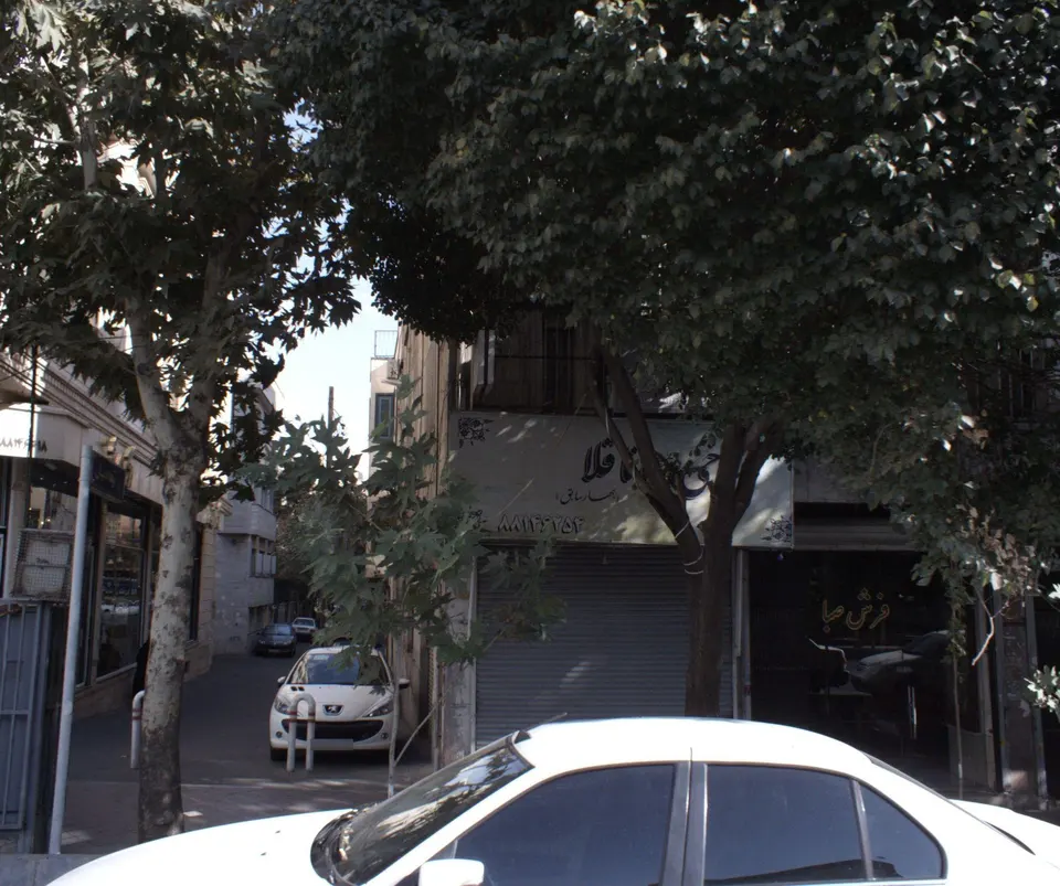 طباخی بره ناقلا
