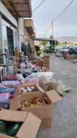 پخش گل نوین