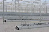 طراحی تامین قطعات وساخت گلخانه های مدرن