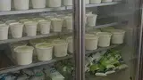 بستنی گل سادات