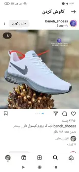 کیف وکفش چرم دانشفر