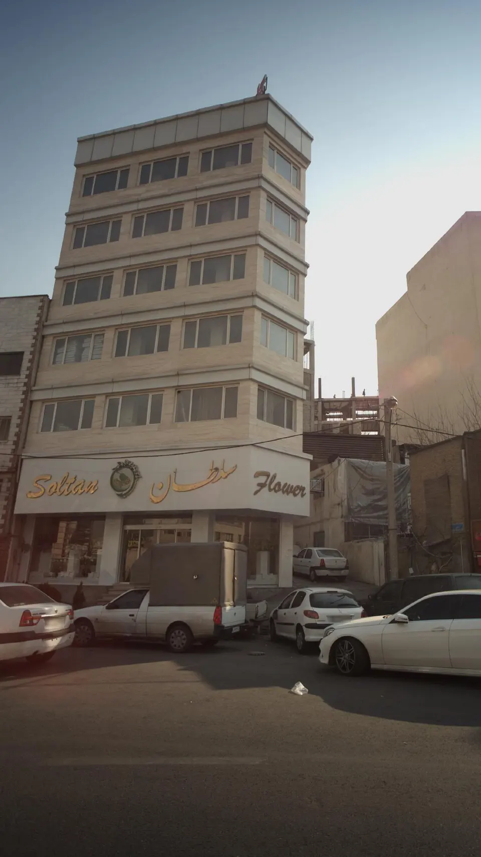 گل سلطان